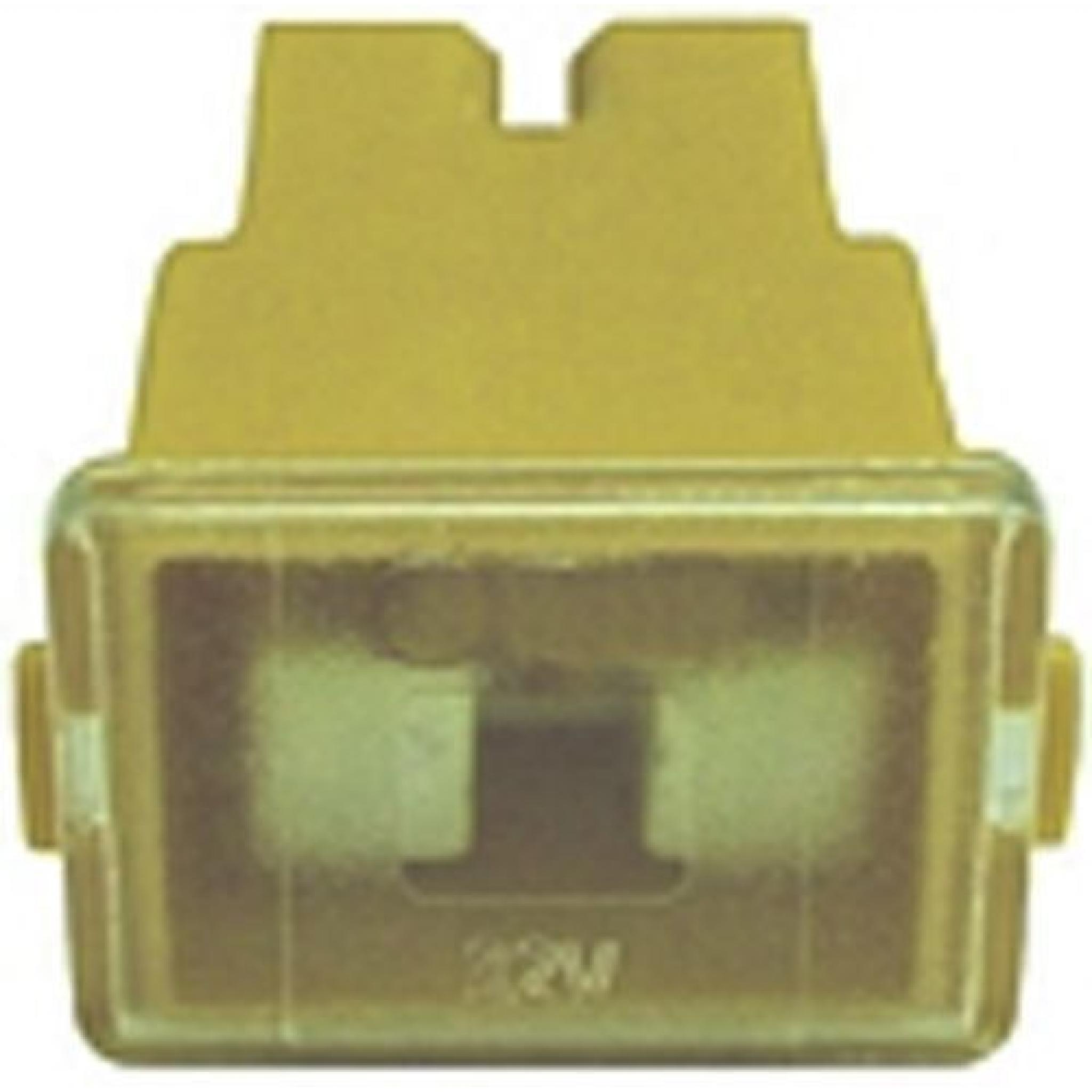 Pal Female Type Other Slow Blow Fuse 60 Amp Compatible with Nissan Mazda Honda Toyota