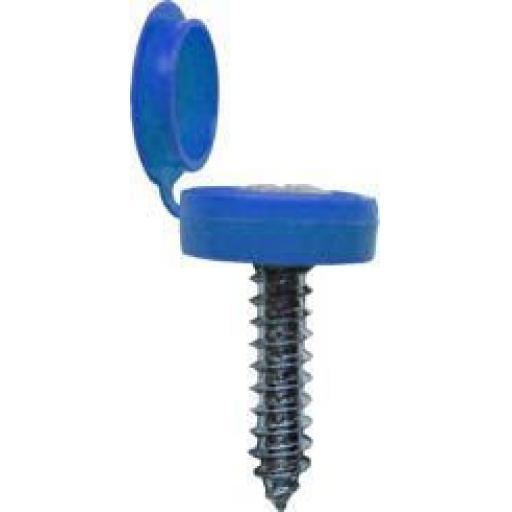Number Plate Screws and Caps BLUE- Car Auto Vehicle Reg Registration No. Plate Fixing Fitting Kit Screws And Caps